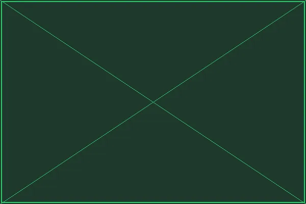 JDB电子游戏策略分析 - pp电子模拟器